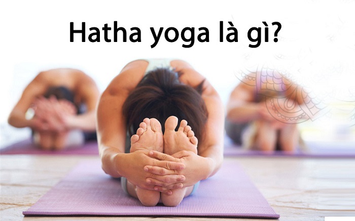 hatha-yoga-la-gi